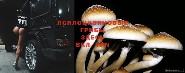 мет Алзамай