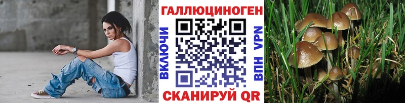 Псилоцибиновые грибы ЛСД Хабаровск