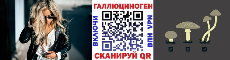 Псилоцибиновые грибы Psilocybe Хабаровск